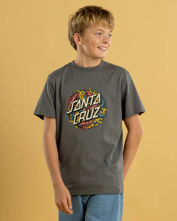 Santa Cruz Boys' Bug Dot Front T-Shirt for Mens