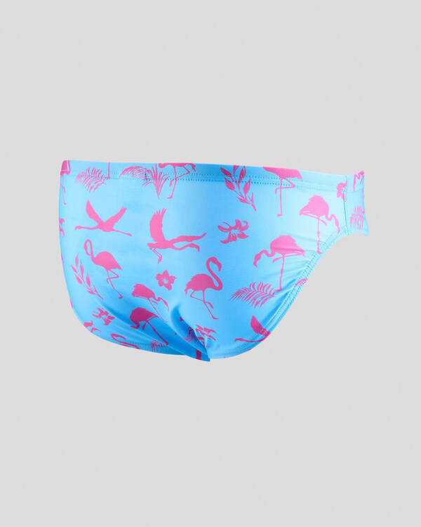 Sack Hammock Fiesta Swim Briefs for Mens