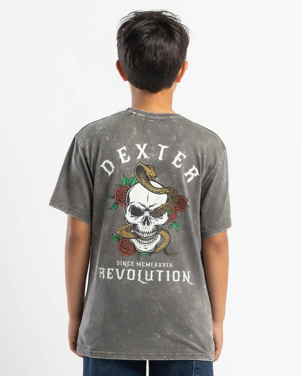 Dexter Boys' Hazard T-Shirt for Mens