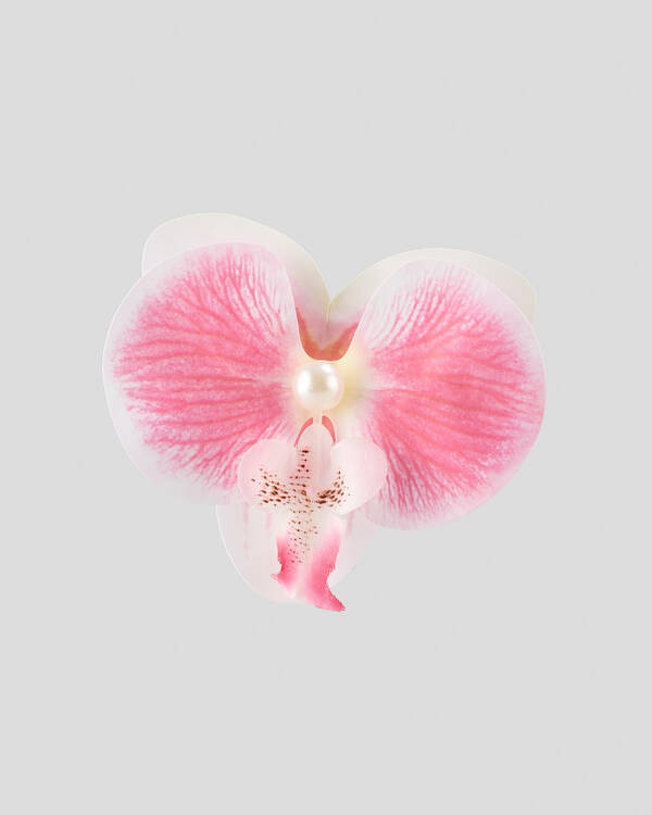 Karyn In LA Orchid Flower Clip for Womens