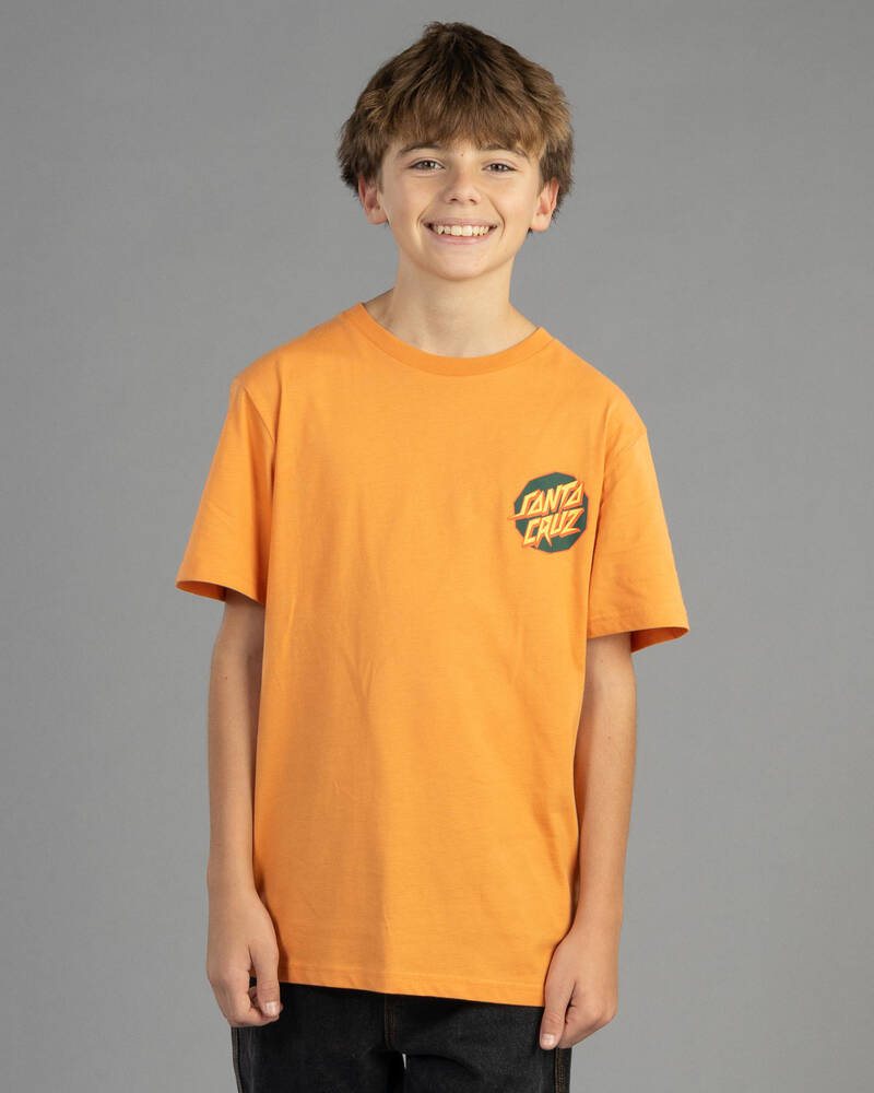 Santa Cruz Boys' Meek Scratched Slasher T-Shirt for Mens