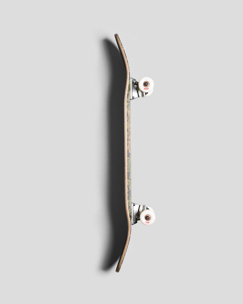 Globe Goodstock 8.25" Complete Skateboard for Unisex