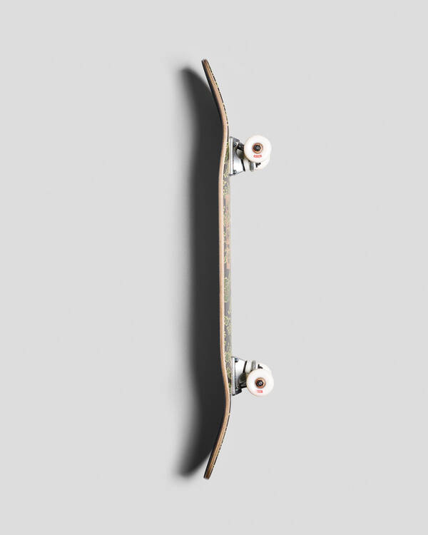 Globe Goodstock 8.25" Complete Skateboard for Unisex