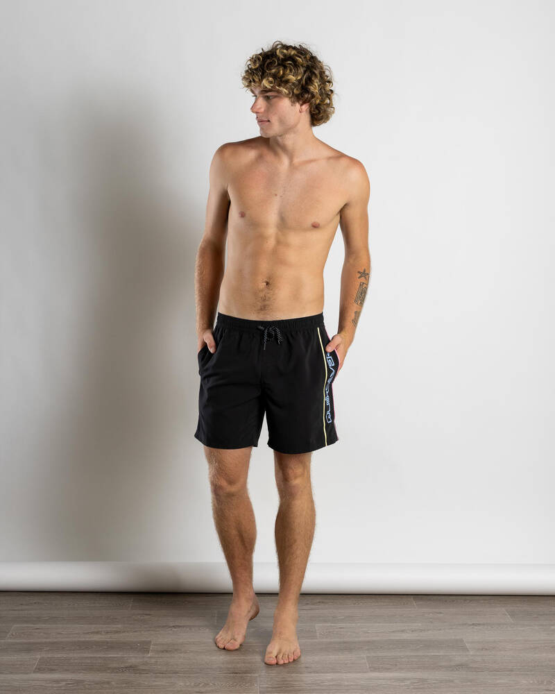 Quiksilver Everyday Vert Volley 2 17" Board Shorts for Mens
