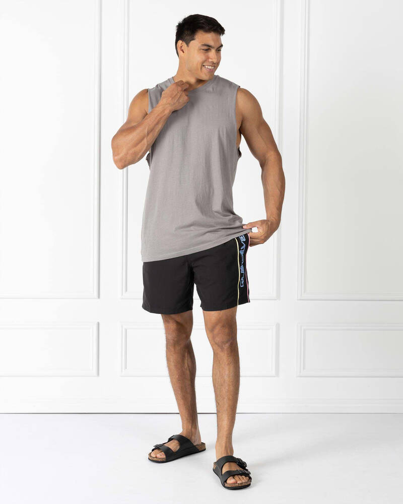 Quiksilver Everyday Vert Volley 2 17" Board Shorts for Mens