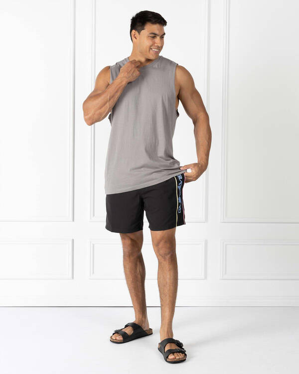 Quiksilver Everyday Vert Volley 2 17" Board Shorts for Mens