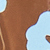Choc/blue
