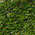 Grass Green