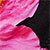 Black/pink