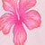 Soft Coral/coral