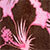 Pink/chocolate
