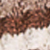 Chocolate/cream