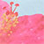 Light Blue/pink