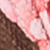 Choc/pink