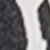 Black Print