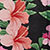 Black Floral