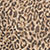 Leopard Print