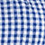 Blue Gingham