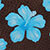 Espresso/blue