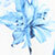 Cream/blue Floral