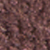 Chocolate Brown-alpine Snow