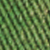 Green/ivory