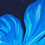 Sapphire/blue