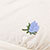Cream/blue