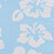 Light Blue/cream
