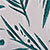 Palm