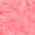 Plumeria Pink