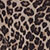 Leopard Print