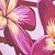 Tickled Pink/merlot
