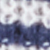 Navy/cream