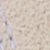 White/white-white