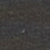 Rhinestone Archival Levis Pirate Black