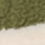 Khaki/cream