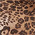 Leopard Print