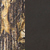 Black/tree Camo