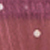 Burgundy/cream