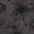 Black Mottle