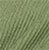 Palm