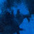 Blue Mottle