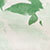 Cream/green Floral
