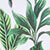 Green/white