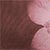 Chocolate/pink