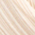 Seashell