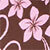 Choc/pink