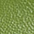 Dark Algae