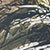 Tan/camo